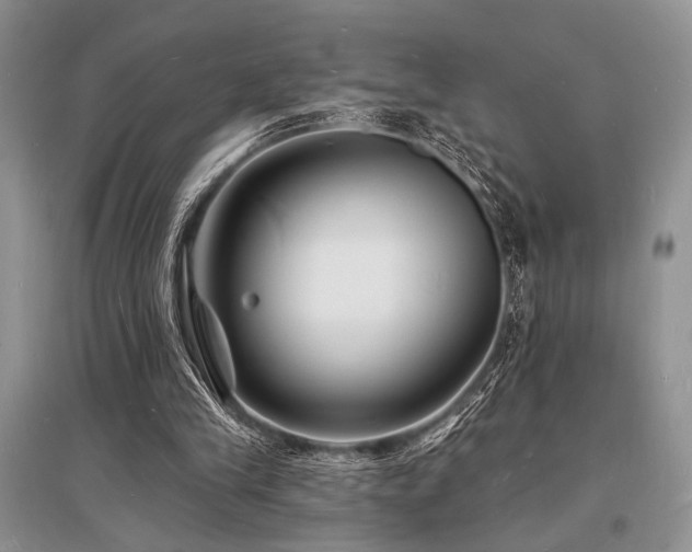 X0000096390245200801241309