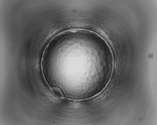X0000096390249200801241309