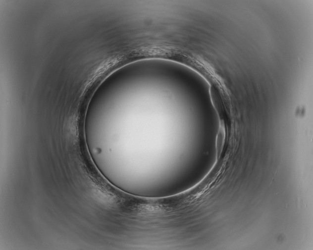 X0000096390250200801241309