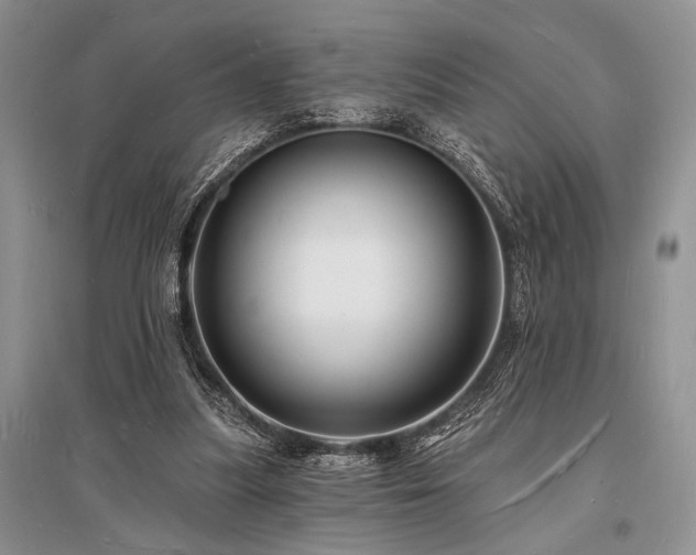 X0000096390251200801241309