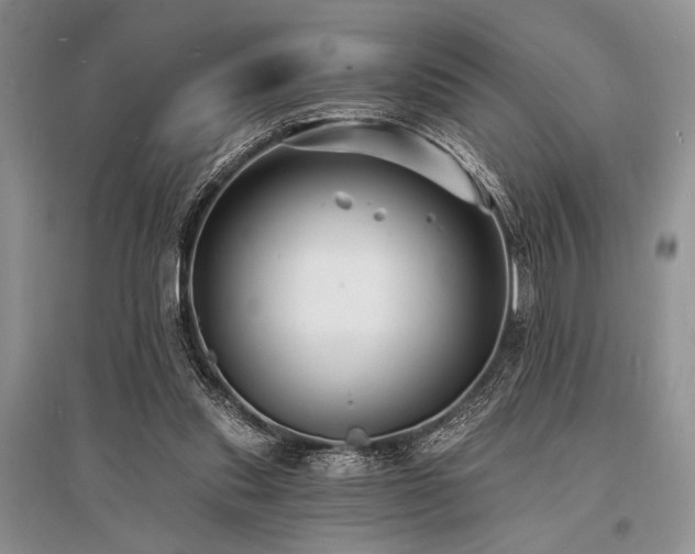 X0000096390253200801241309