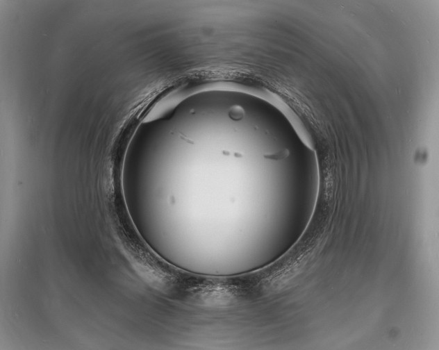 X0000096390254200801241309