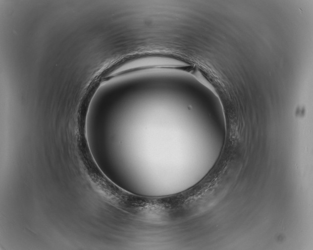 X0000096390256200801241309