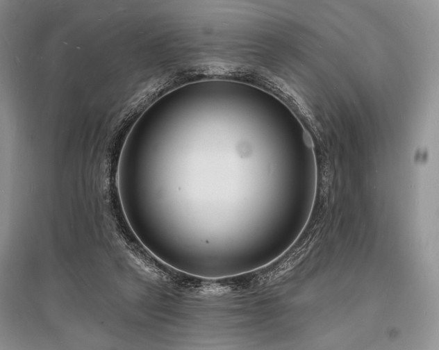 X0000096390257200801241309