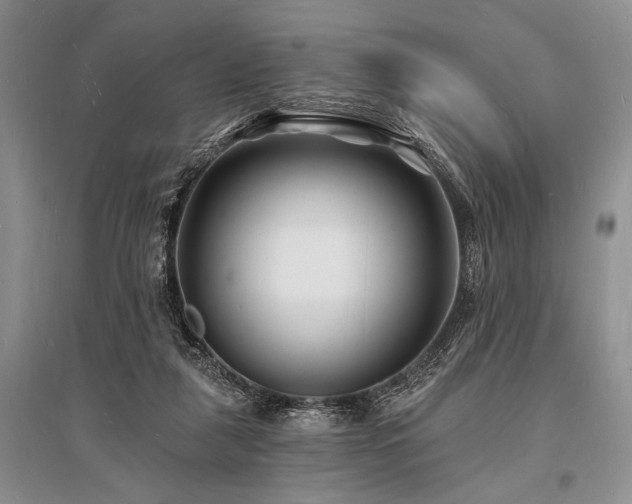 X0000096390259200801241309