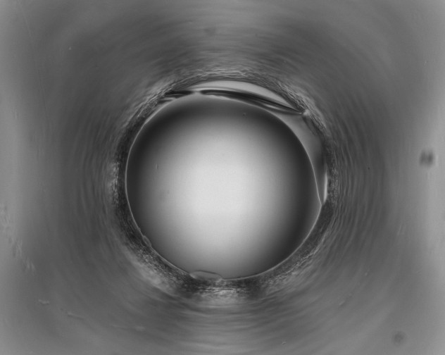 X0000096390260200801241309