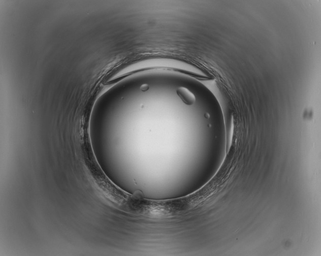 X0000096390264200801241309