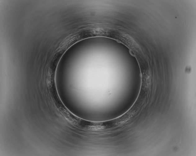 X0000096390266200801241309