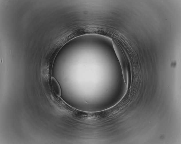 X0000096390267200801241309