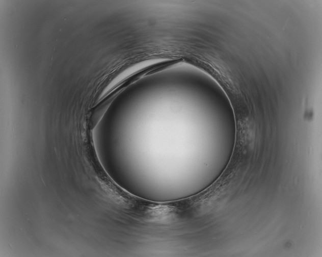 X0000096390269200801241309