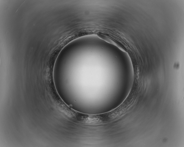 X0000096390270200801241309