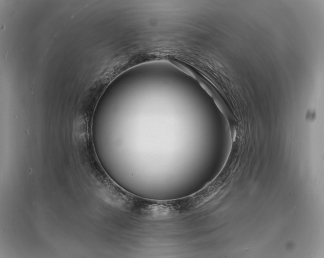 X0000096390272200801241310