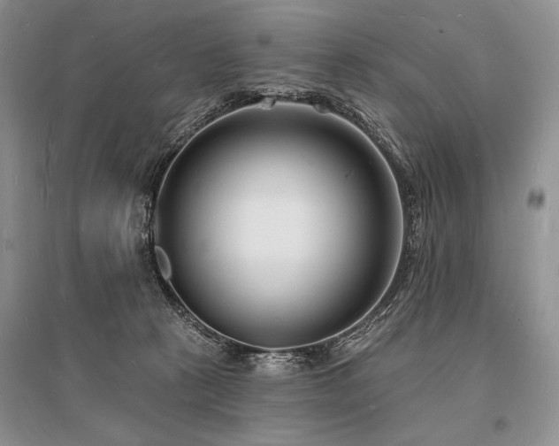 X0000096390273200801241310