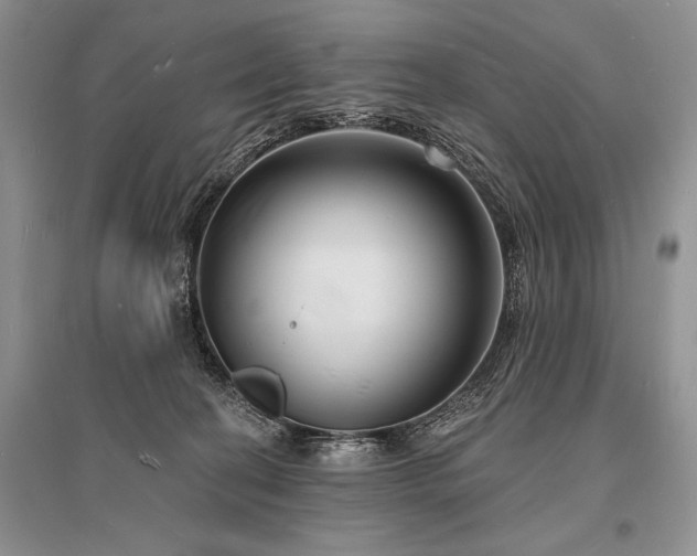X0000096390274200801241310