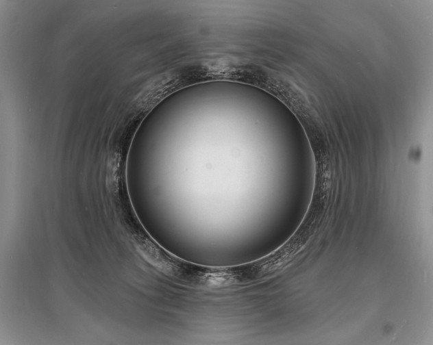 X0000096390275200801241310