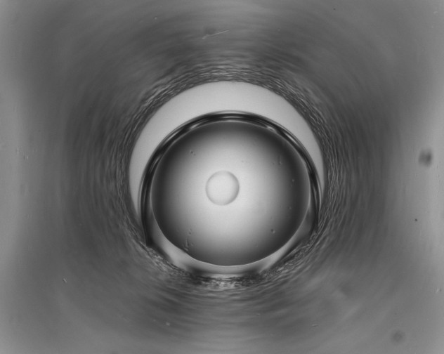X0000096390276200801241310