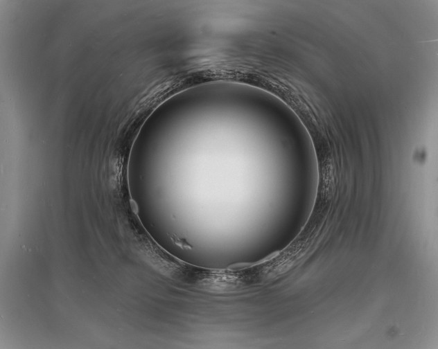 X0000096390278200801241310