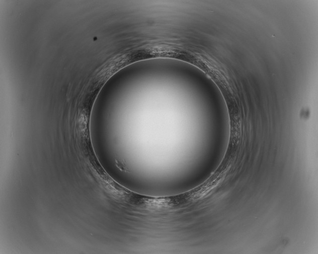 X0000096390281200801241310