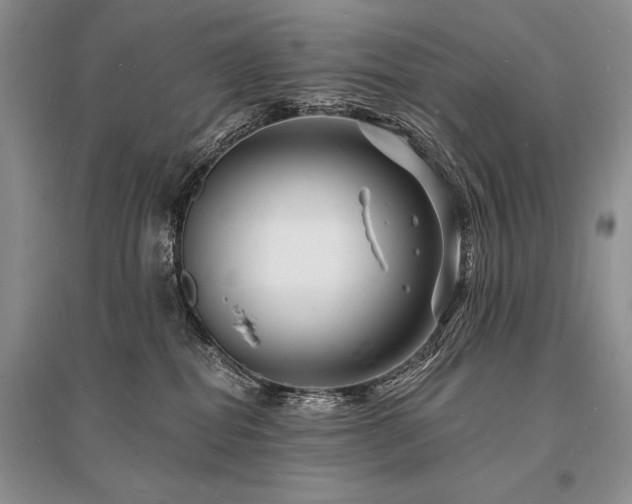 X0000096390282200801241310