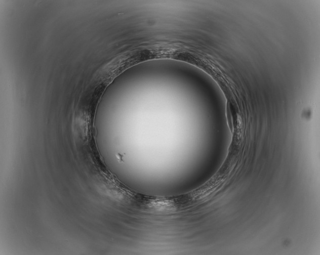 X0000096390283200801241310