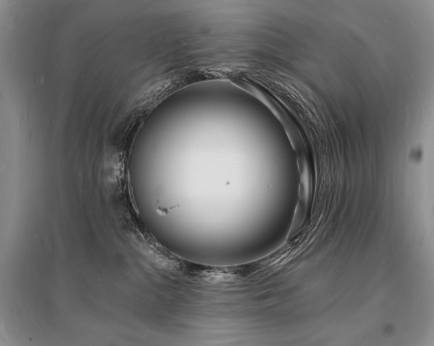 X0000096390284200801241310