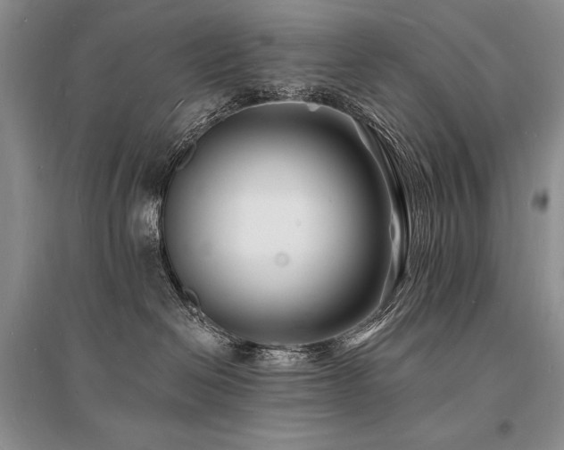 X0000096390286200801241310