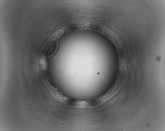 X0000096390287200801241310