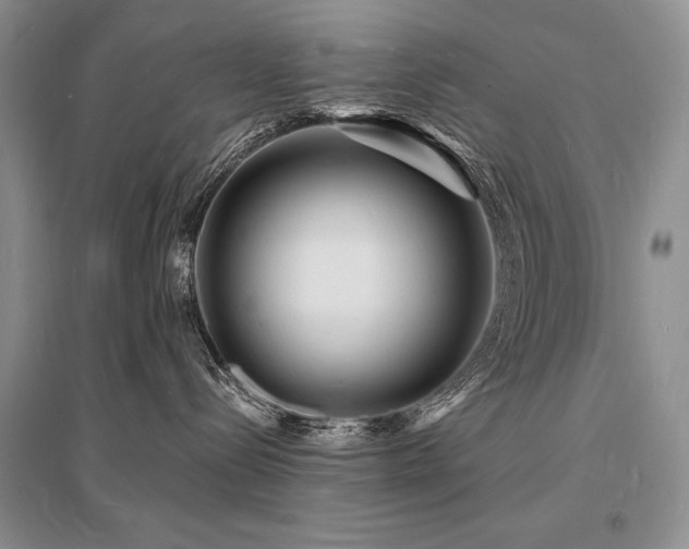 X0000096390288200801241310