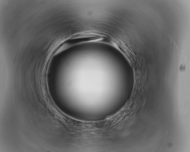 X0000096390289200801241309