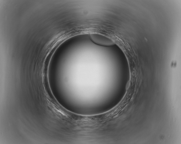 X0000096390290200801241309