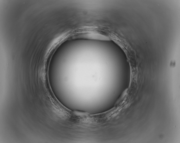 X0000096390293200801241309