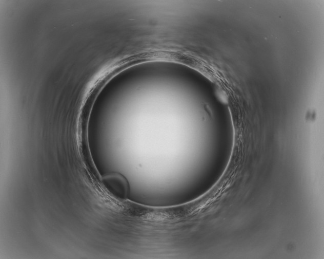 X0000096390294200801241309