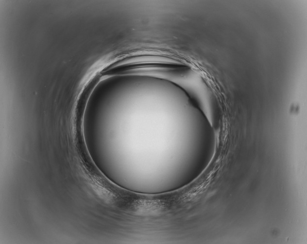 X0000096390296200801241309