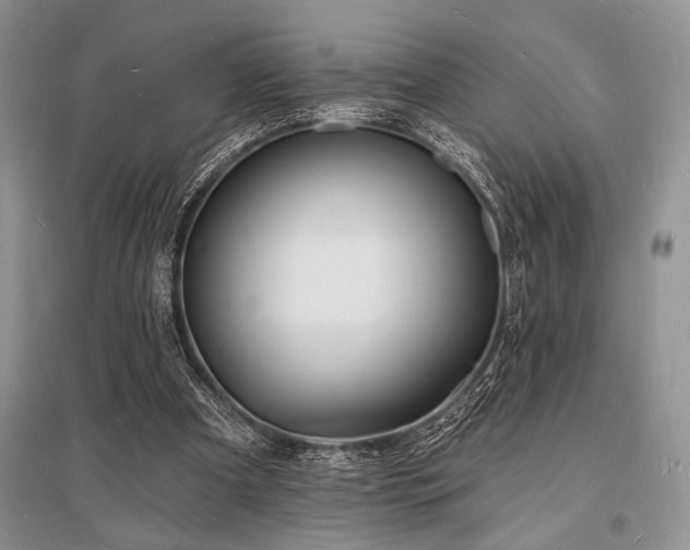 X0000096390297200801241309