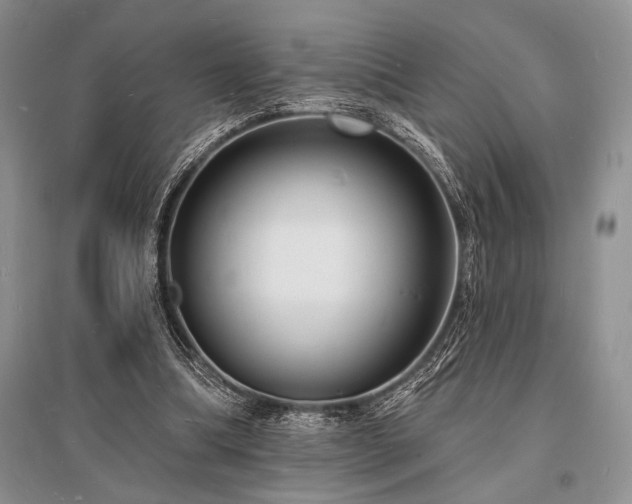 X0000096390298200801241309