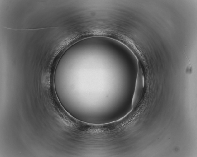 X0000096390299200801241309