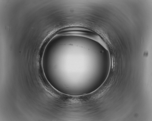X0000096390300200801241309