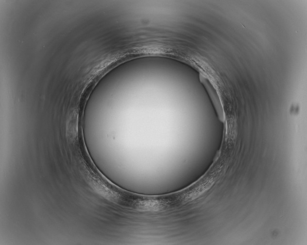 X0000096390301200801241309