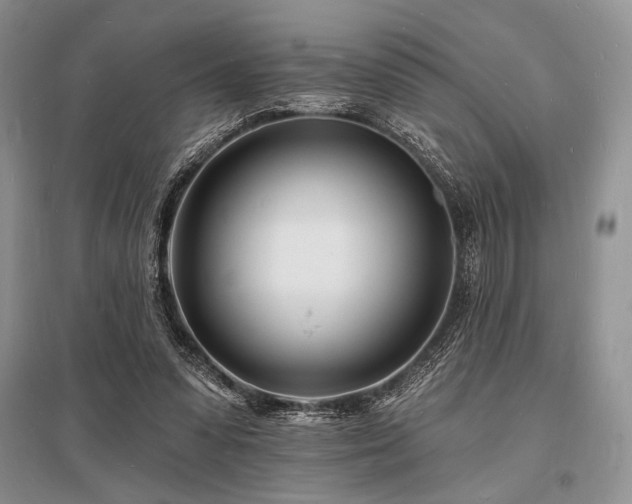 X0000096390303200801241309