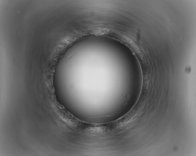 X0000096390307200801241309