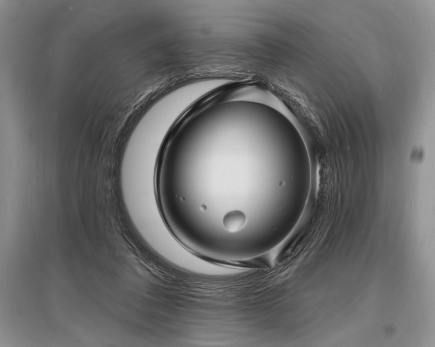 X0000096390308200801241309