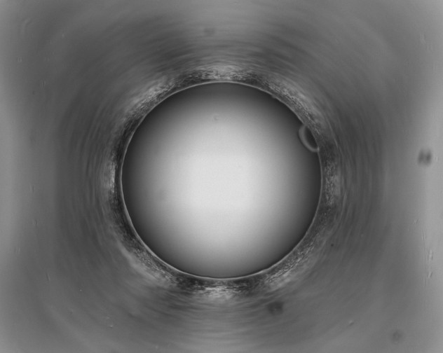 X0000096390310200801241309
