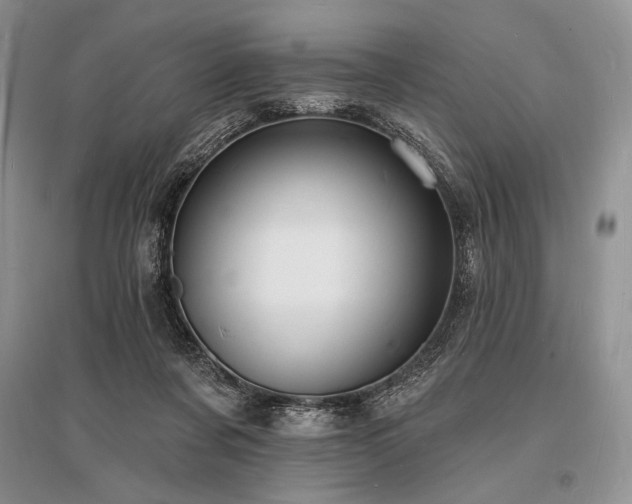 X0000096390311200801241309