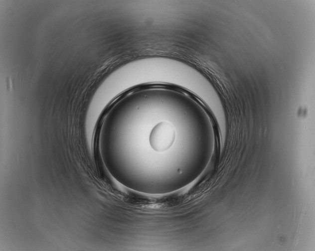 X0000096390312200801241309