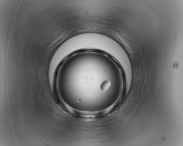 X0000096390313200801241309