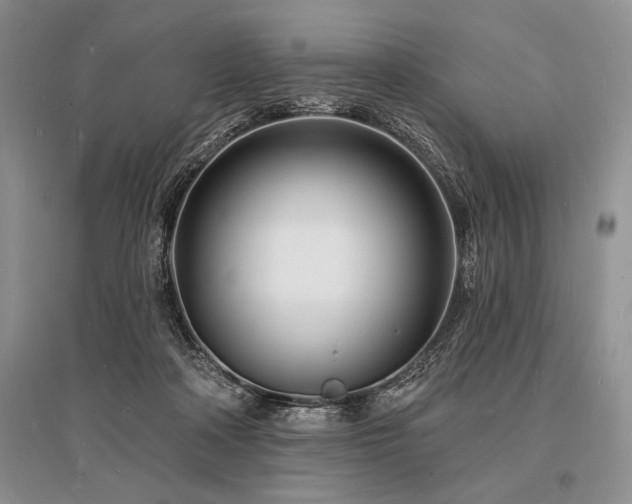 X0000096390314200801241309