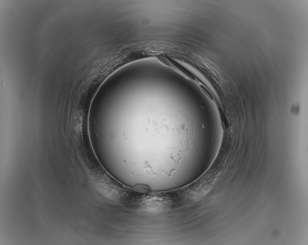 X0000096390315200801241309
