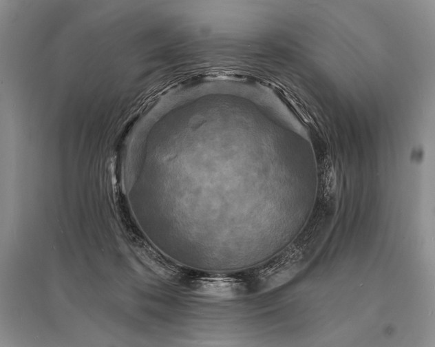 X0000096390316200801241309