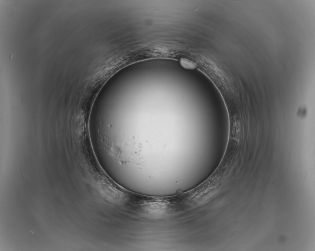 X0000096390318200801241309