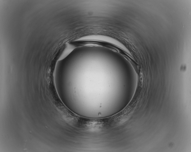 X0000096390319200801241309